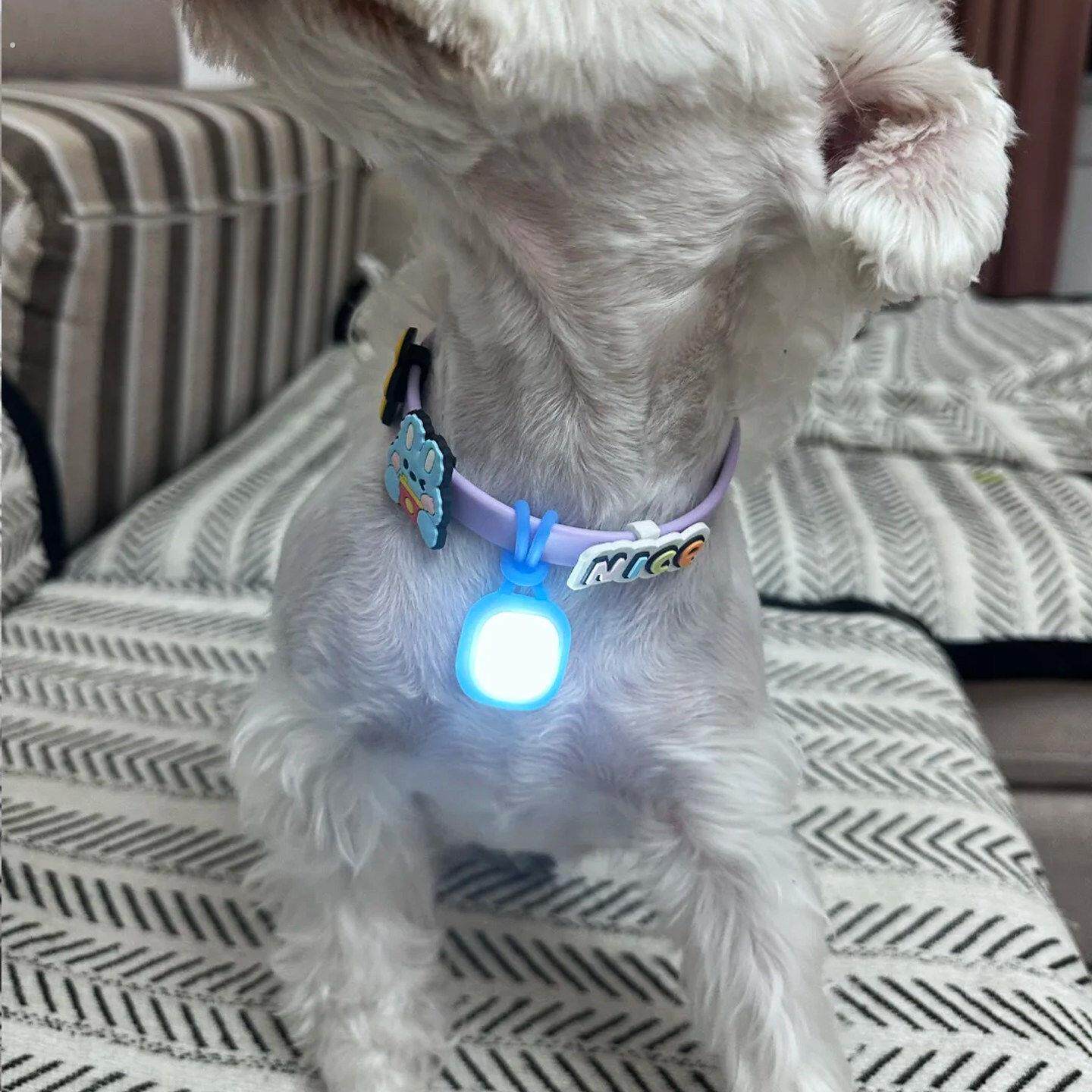 夜间遛狗灯宠物小狗狗猫咪发光吊坠定位器吊坠防走失夜行灯项圈
