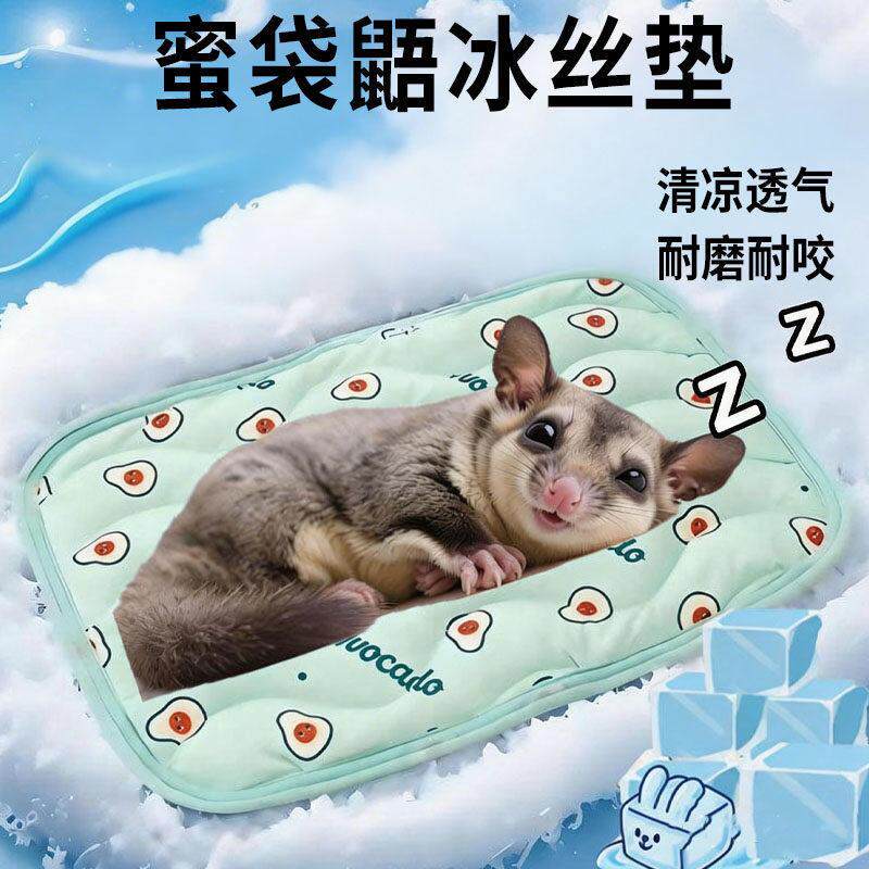 蜜袋鼯冰垫降温板冰凉席专用夏季散热器垫板冰凉夏日隔热小型冰盒