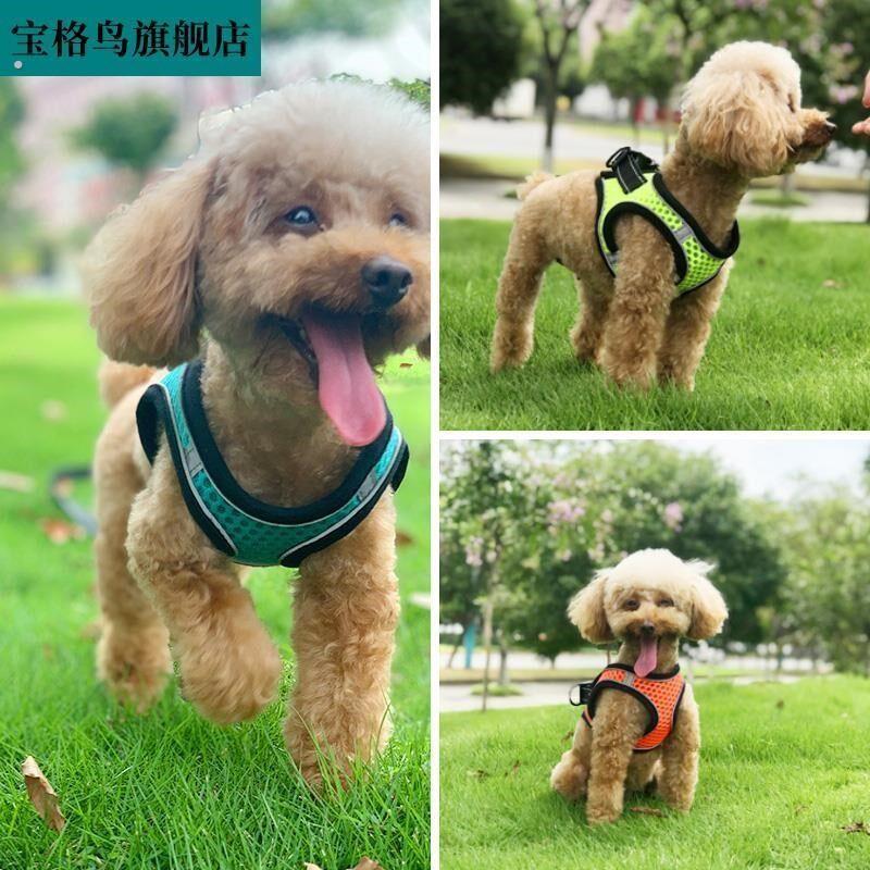 宠物胸抱婴袋牵引绳中小型犬防咬断背心式泰迪博美狗炼子狗狗遛狗