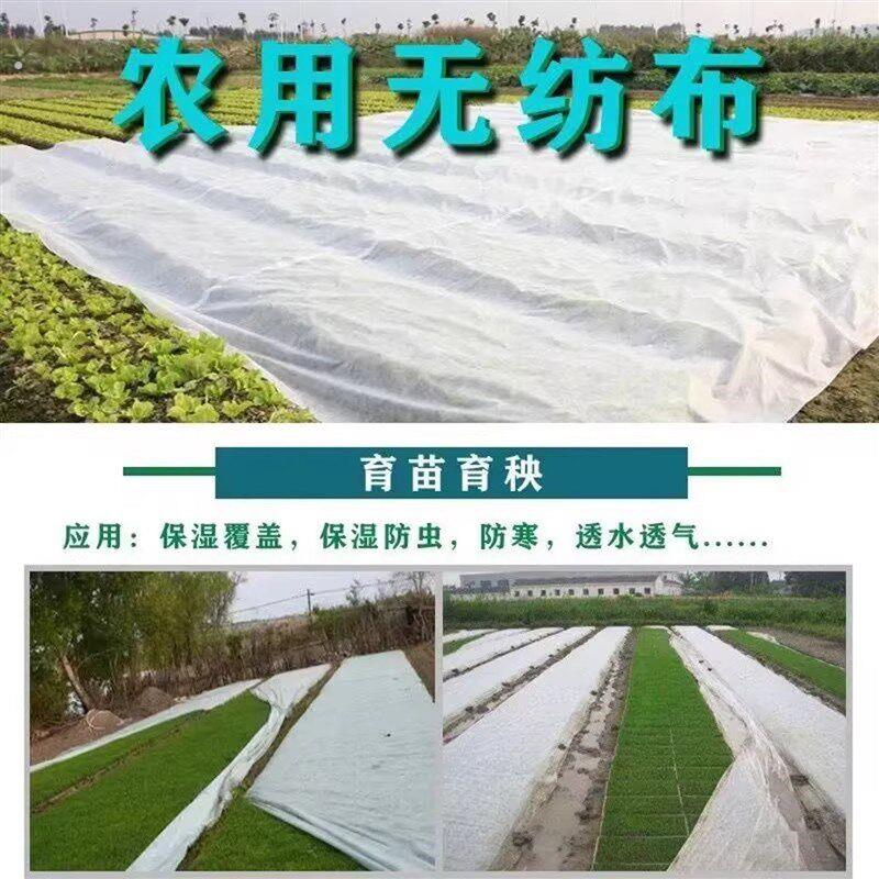 农用无纺布白色透气地膜农业育苗防寒覆盖膜大棚地膜透水透气防尘