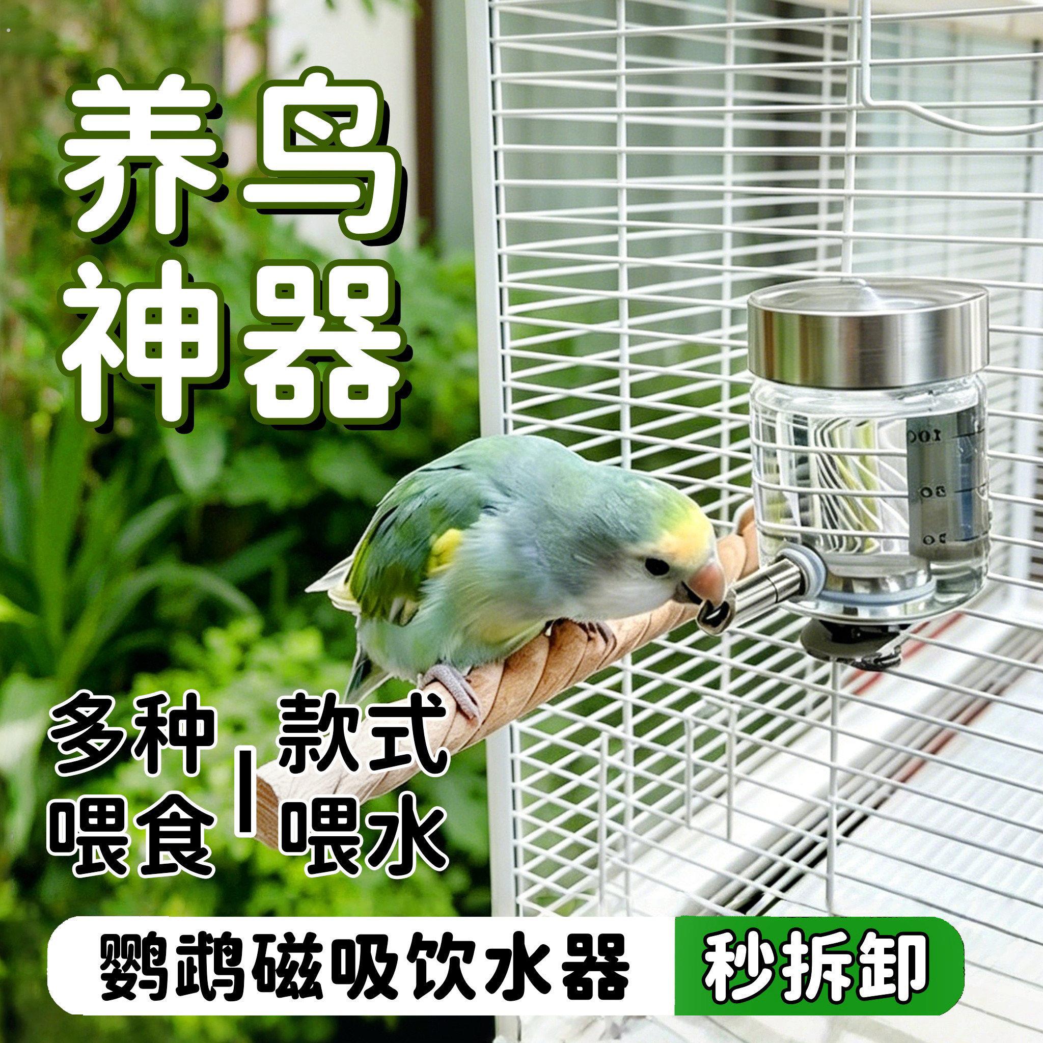 宠帮仕鹦鹉撞针饮水器磁吸玻璃鸟用自动喂水器水壶新款鸟笼配件