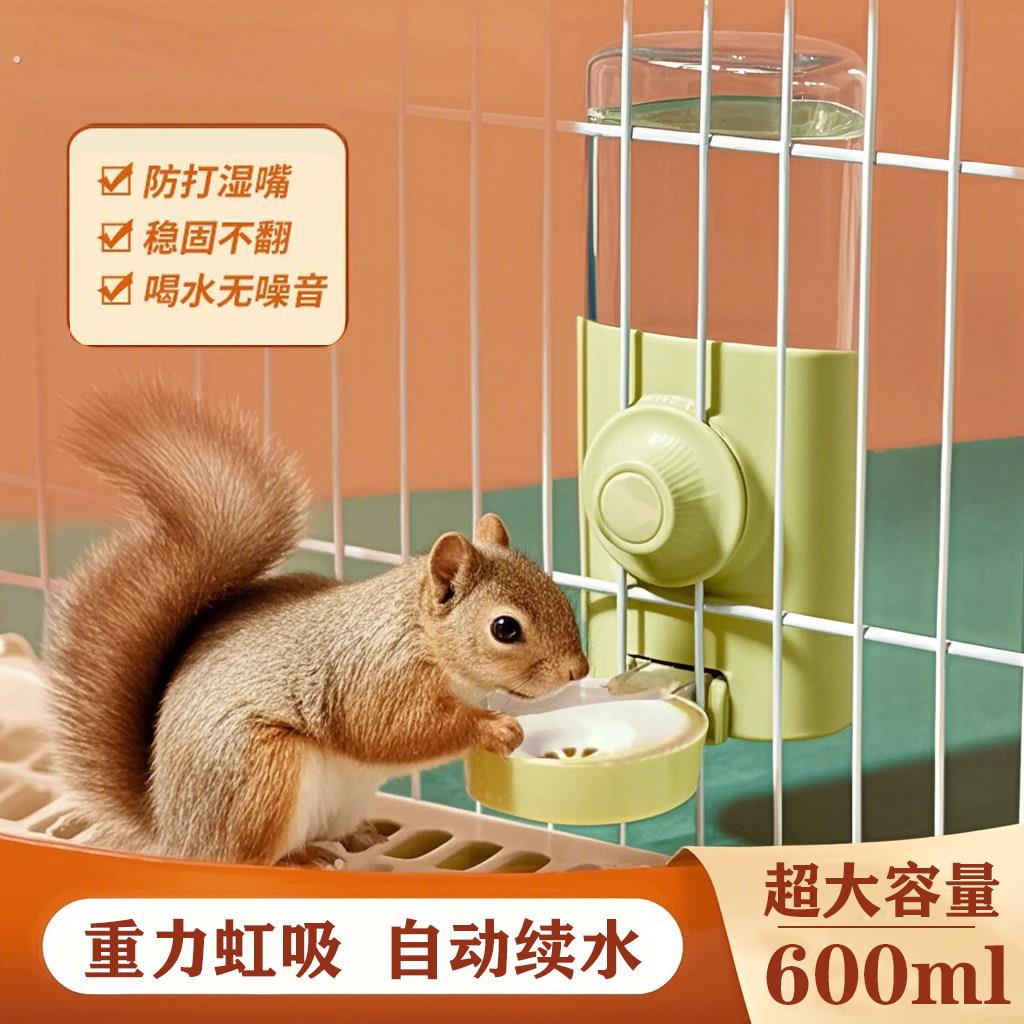 松鼠饮水器专用水壶喂水器自动喝水静音小宠用品食盆不漏水喂食器