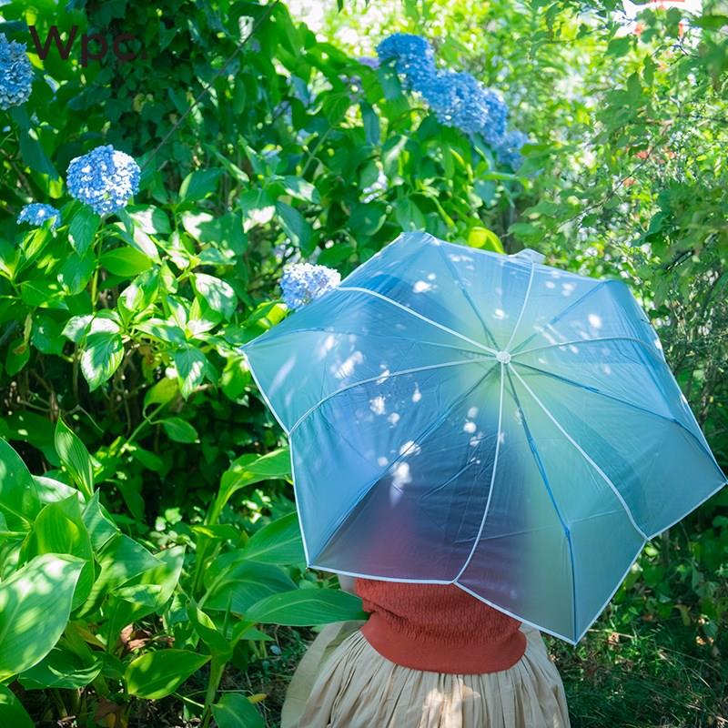 wpc透明雨伞高颜值伞拒水加大加厚加固长柄伞蕾丝郁金香花瓣伞女