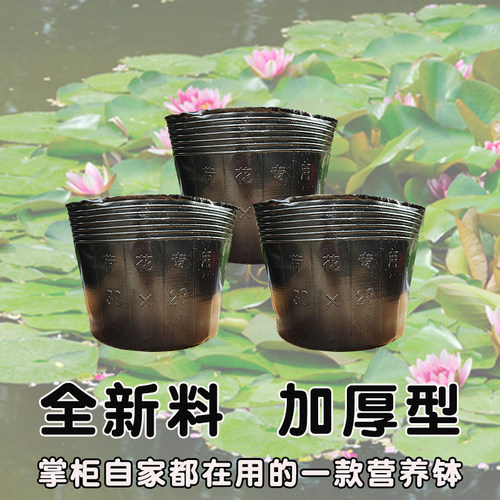 荷花盆加厚一次性黑色塑料无孔碗莲盆水生植物育苗盆睡莲盆营养鉢