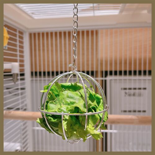 蔬菜球架玄凤虎皮牡丹文鸟鹦鹉鸟喂水果叉金属夹子用品玩具鸟笼