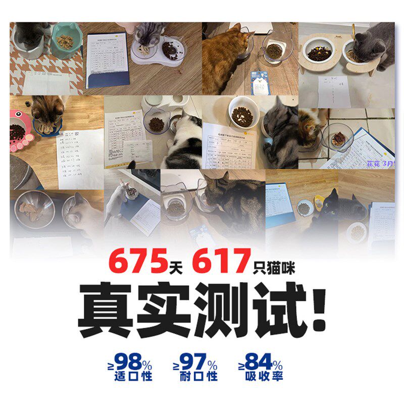 毛球殿下猫咪主食罐营养猫粮鱼肉成猫幼猫罐猫湿粮猫罐头170g*8袋