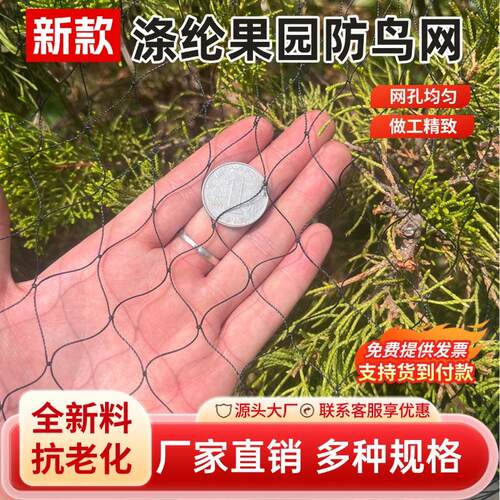 大棚专用防鸟网黑色涤纶果树防护网养殖鱼塘果园农田拦鸟天网罩