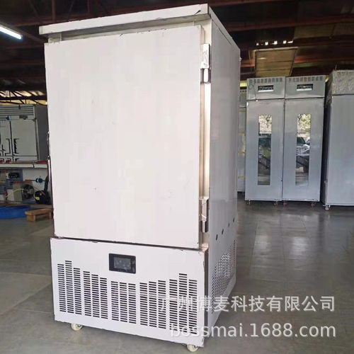 急冻柜商用海鲜水饺包子低温冰柜10盘极速冷冻柜freezing cabinet
