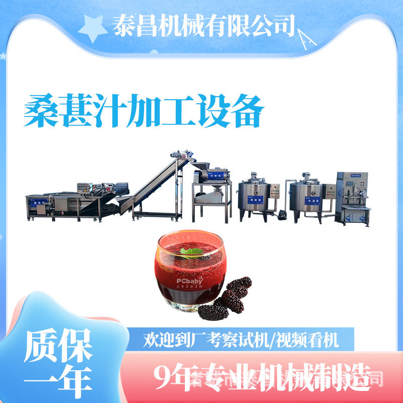 新疆吐鲁番桑葚汁加工生产线攀枝花桑葚汁生产设备杨梅汁加工设备