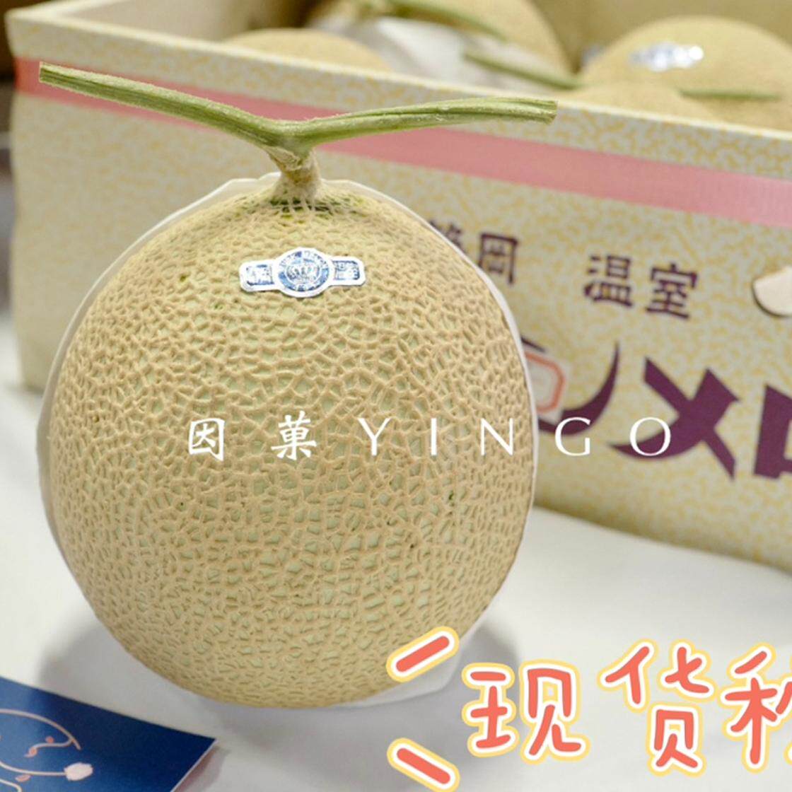 静冈品种网纹蜜瓜梅陇品种皇冠山印啫喱哈密蜜T字瓜超甜多汁1枚