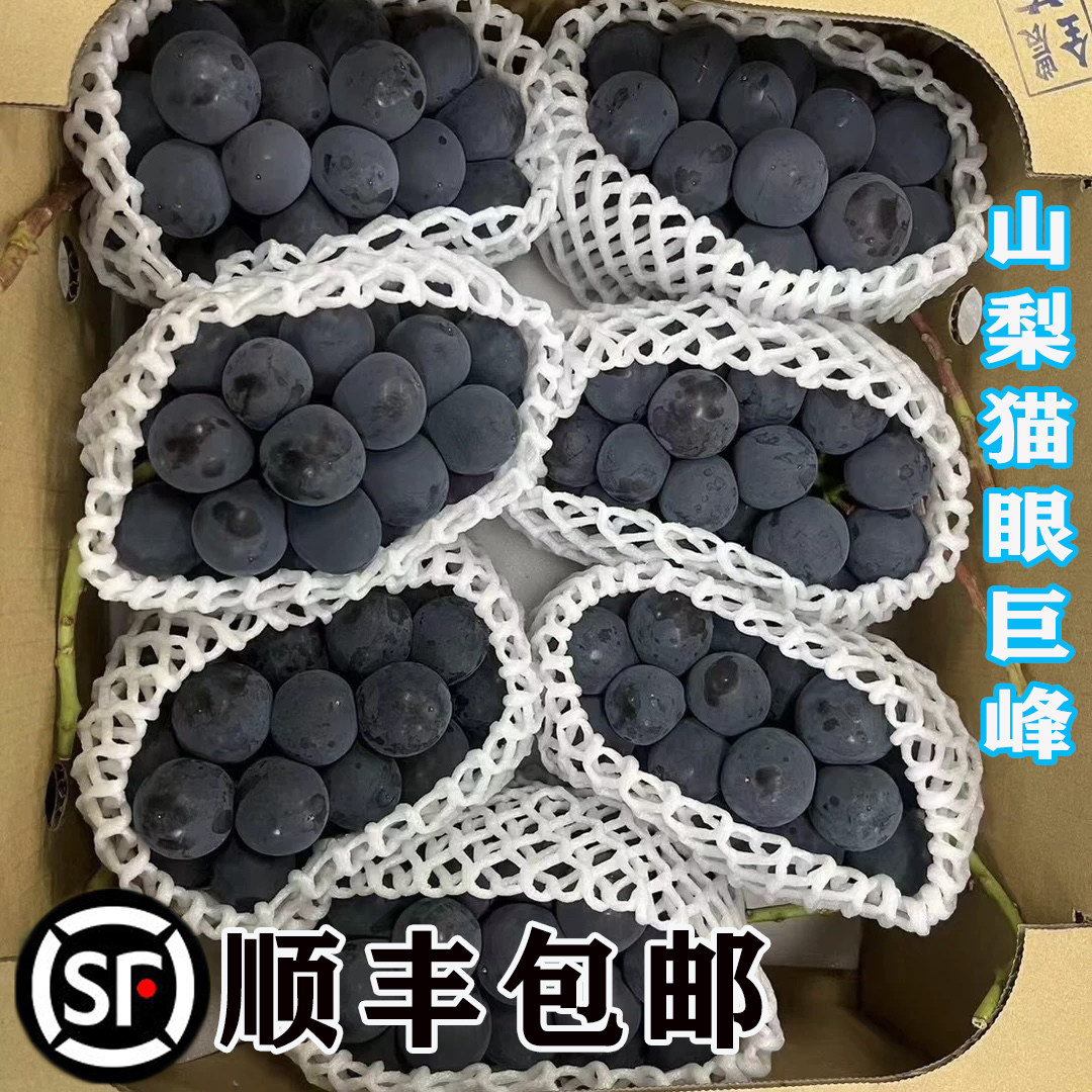 现货温室猫眼巨峰 当季限定浓甜大果稀缺限定 新鲜葡萄冷链直达