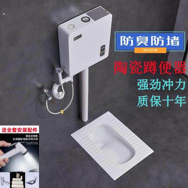 德国品质免垒台蹲坑瓷蹲便器冲水箱整套装化妆室大便器便池厕所式