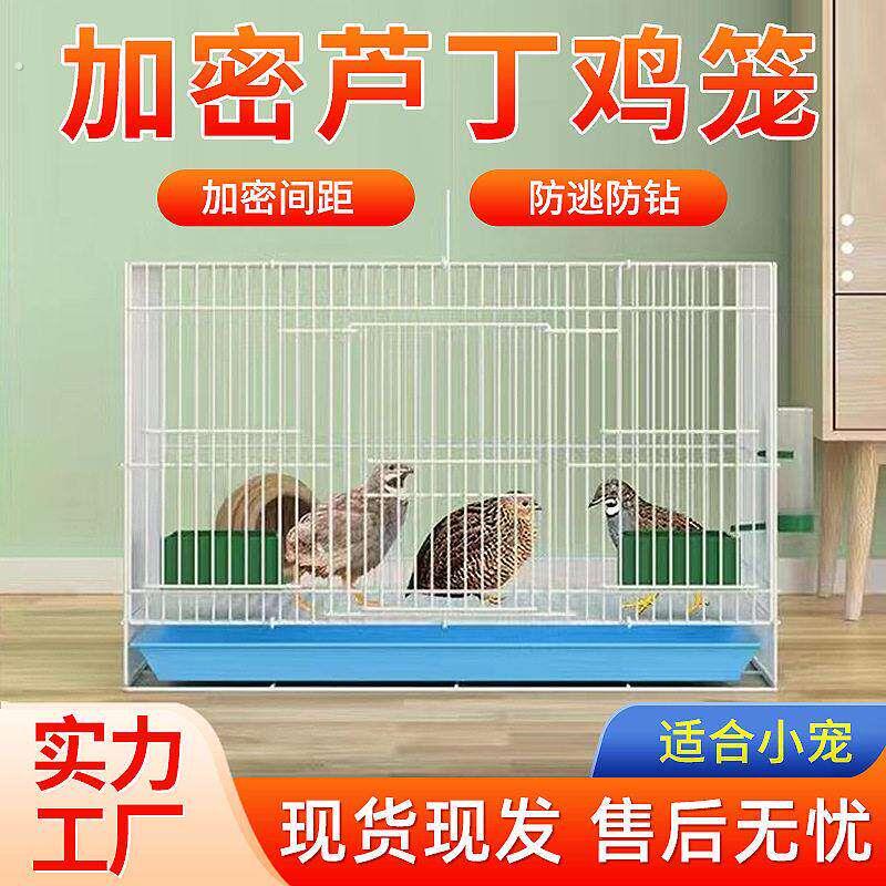 鸟笼子家用小型芦丁鸡养殖笼鸟笼家用小号手提运输宠物兔笼折叠