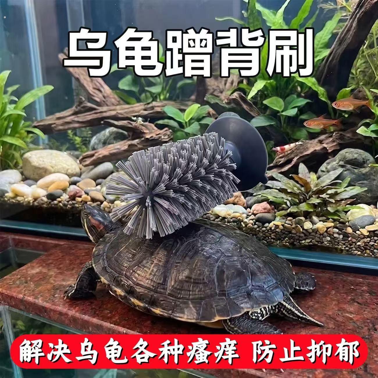 乌龟刷背刷刷背吸盘式洗碗刷洗澡蹭背刷子爬宠多功能清洁刷子