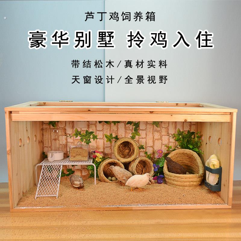 芦丁鸡饲养箱宠物笼科尔鸭笼子鸡窝屋鹌鹑鸽子笼育雏室内保温箱
