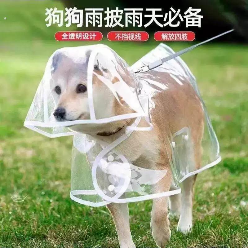 狗狗的雨衣泰迪专用中型小型犬柴犬透明雨披防水柯基宠物衣服雨天