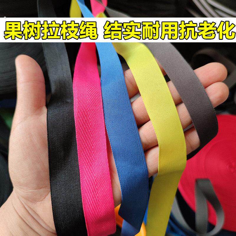 果树拉枝绳子压布条固定捆绑带专用布绳扁带尼龙绳尼龙带高强度的