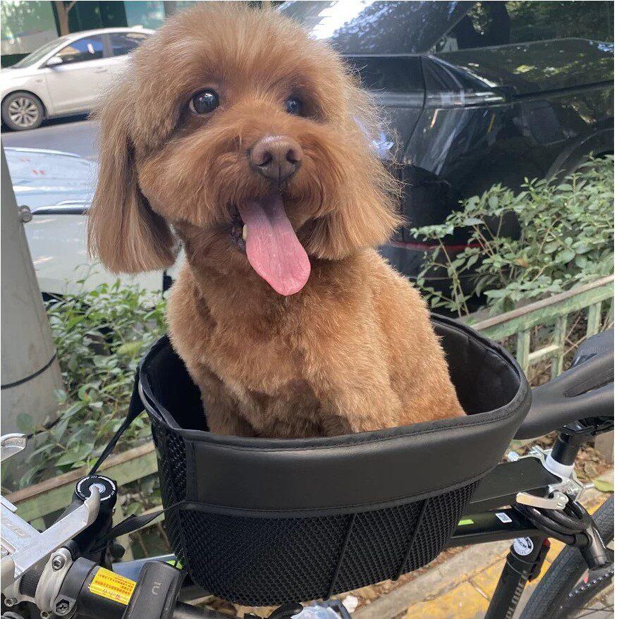 自行车狗狗座椅宠物筐山地车买菜篮子带猫带狗通用款前置安全车筐