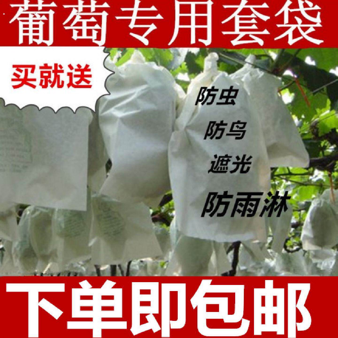 葡萄套袋半透明葡萄袋专用育果袋葡萄袋子防水防虫阳光玫瑰套袋