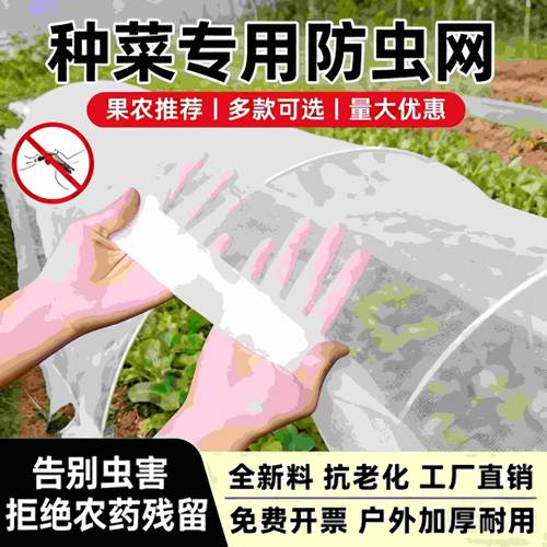 防虫网种菜专用温室大棚尼龙网防护网防鸟罩菜园蔬菜网罩菜地防蚊