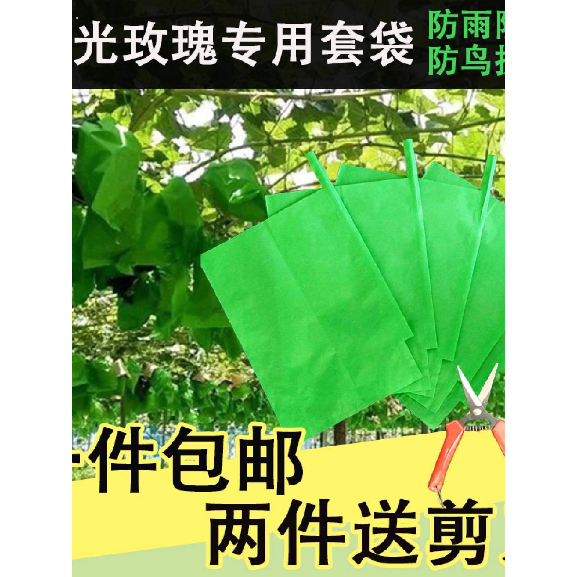 阳光玫瑰专用葡萄袋晴王套袋绿色蓝三色渐变葡萄袋防水防果锈纸袋