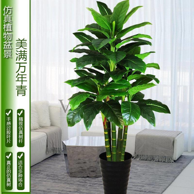 彷真植物大型盆景室内塑料树客厅摆件落地装饰假盆栽万年青彷真树