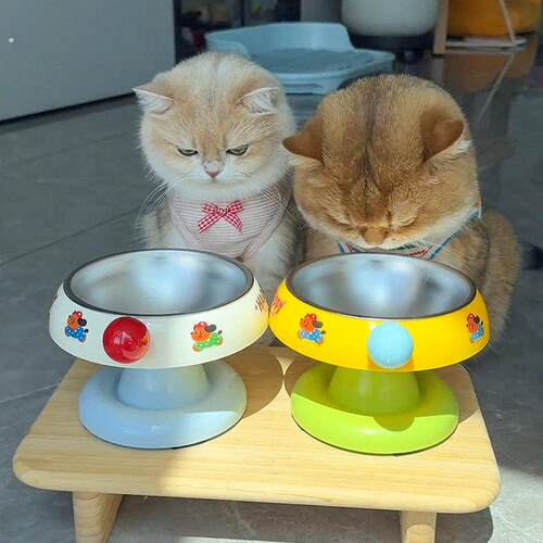 猫碗猫咪饭碗粮碗喝水碗保护颈椎猫食盆不锈钢狗碗不易打翻宠物碗