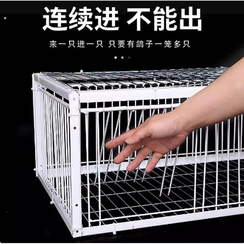 新款天落笼鸽子笼加厚加密自动收鸽子神器活络门撞门户外只进不出图片