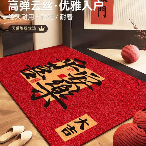 红色入户地垫2026马年新款丝圈脚垫门口玄关家用脚垫喜庆除尘地毯