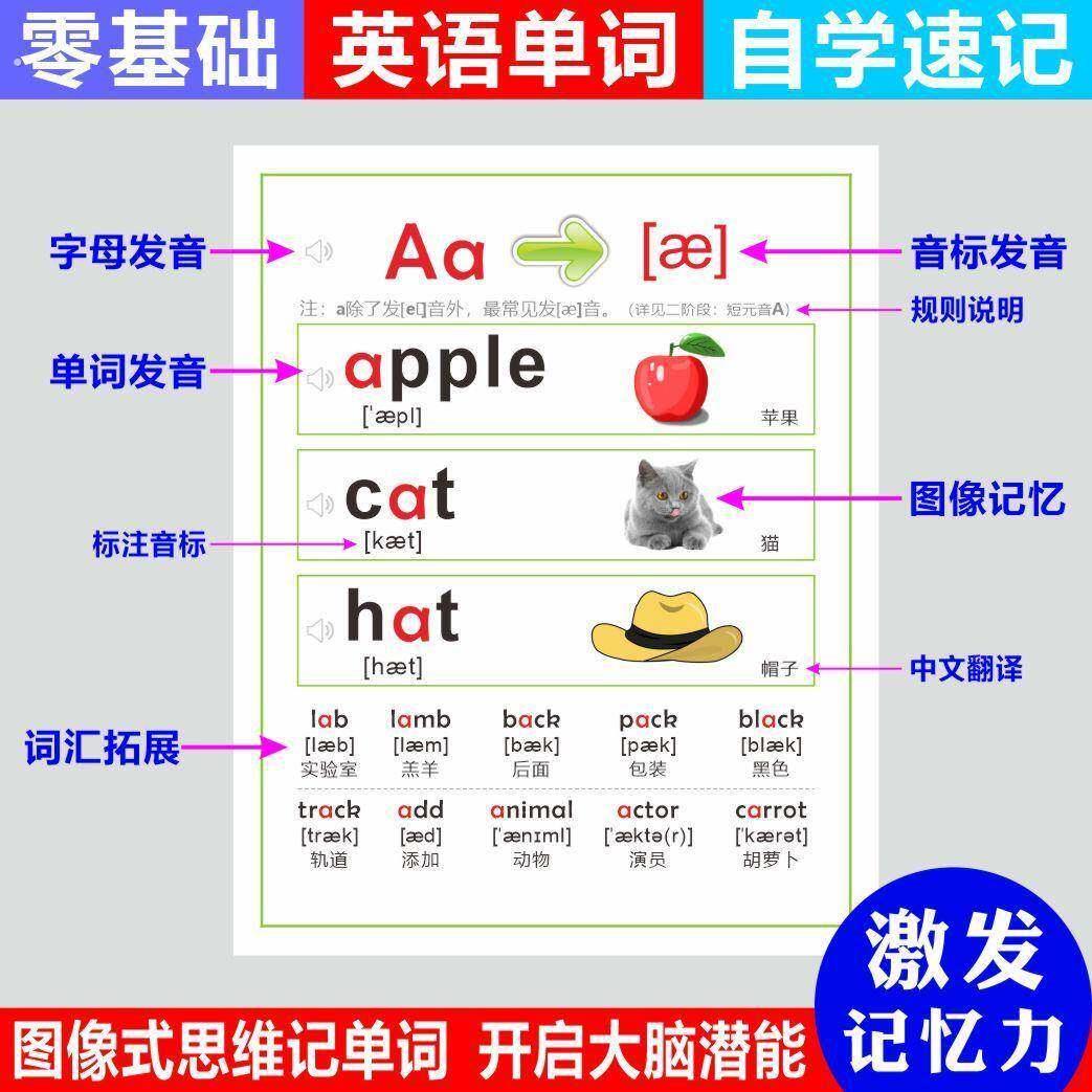 小学英语自然拼读发音规则表音标教材教具墙贴有声挂图学习神器