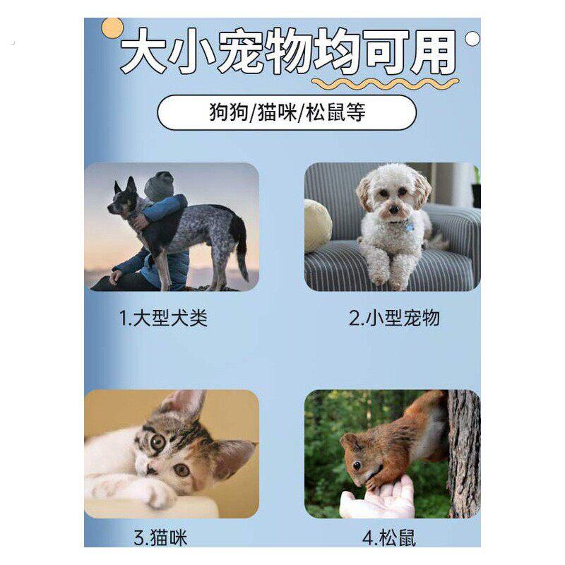 厂家直销蜜袋鼯鼹专用磨甲器电动指甲剪小飞鼠小蜜飞仓鼠松鼠鹦鹉