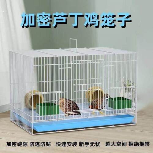 芦丁鸡专用养殖笼子家用加密大号芦丁鸡铁丝笼小鸡小鸭子鹌鹑鸟笼