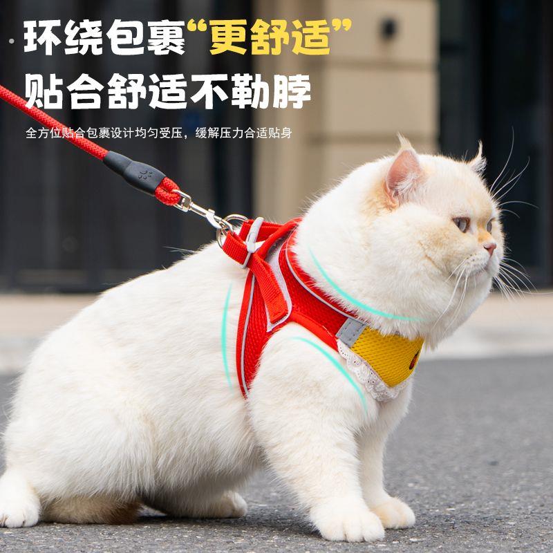 小猫牵引绳猫咪牵引绳防挣脱遛猫牵引绳可爱猫咪口水巾胸背带外出
