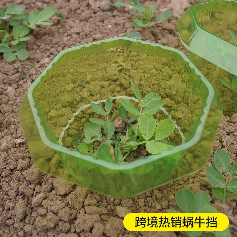 蜗牛档蜗牛防护八角四角可重复使用的植物蔬菜围栏蜗牛项圈植物罩