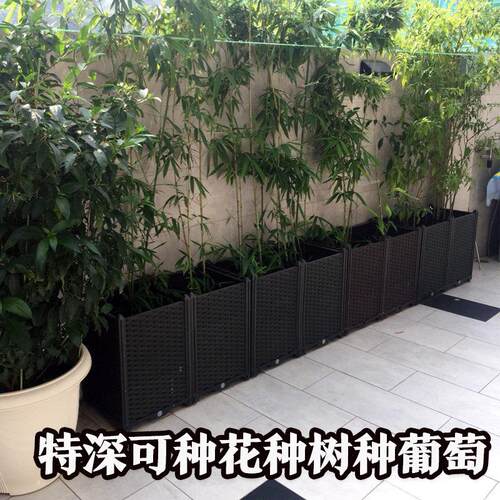 种竹子的专用盆阳台种菜盆家庭特大长条蔬菜种植箱长方形果树葡萄