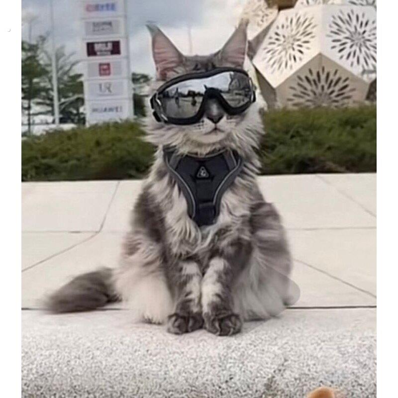 网红猫咪牵引绳背心式外出缅因猫防挣脱遛猫绳自动伸缩背带溜猫链