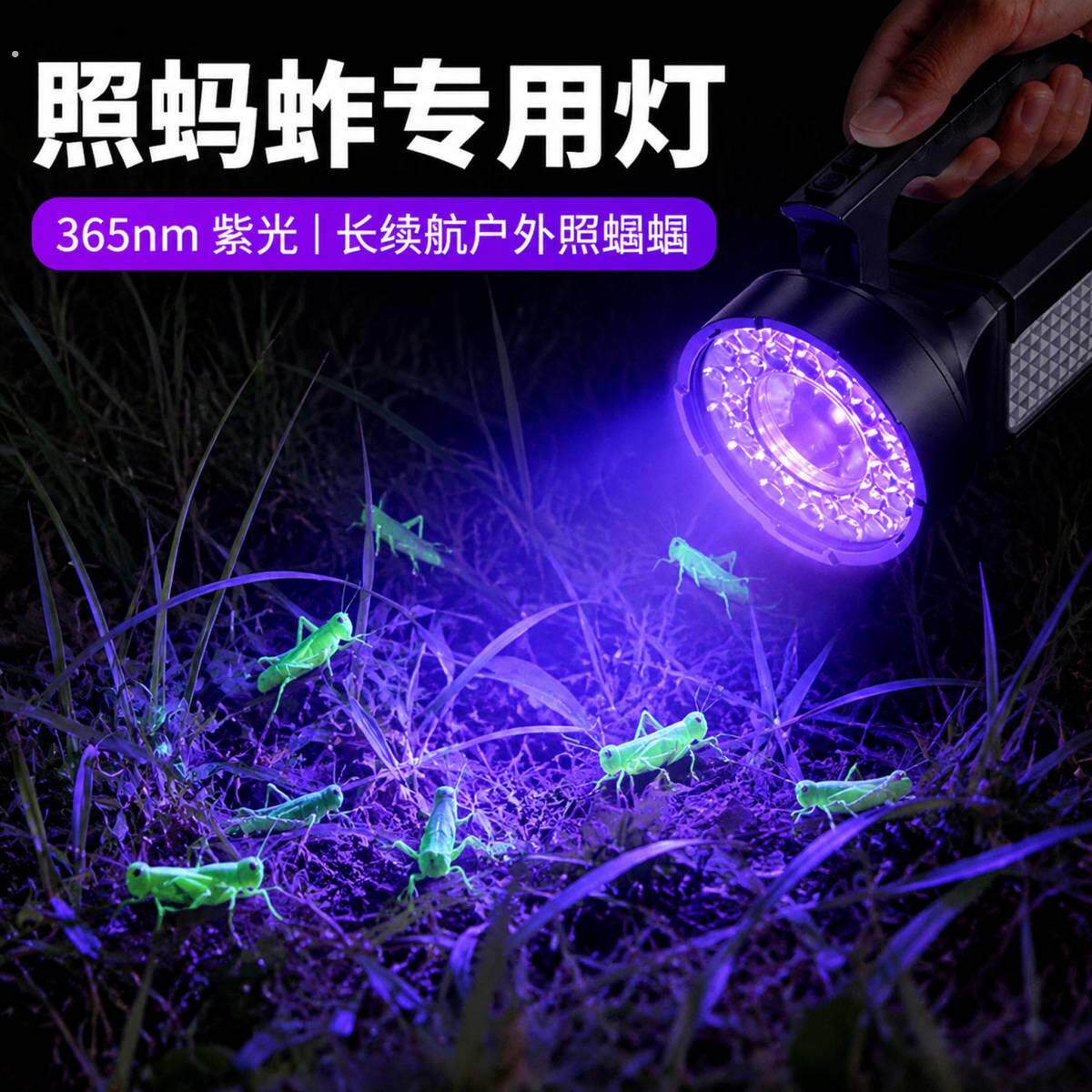 照蚂蚱专用灯照蝈蝈蝎子强光灯探照灯超亮防水高流明大容量户外灯