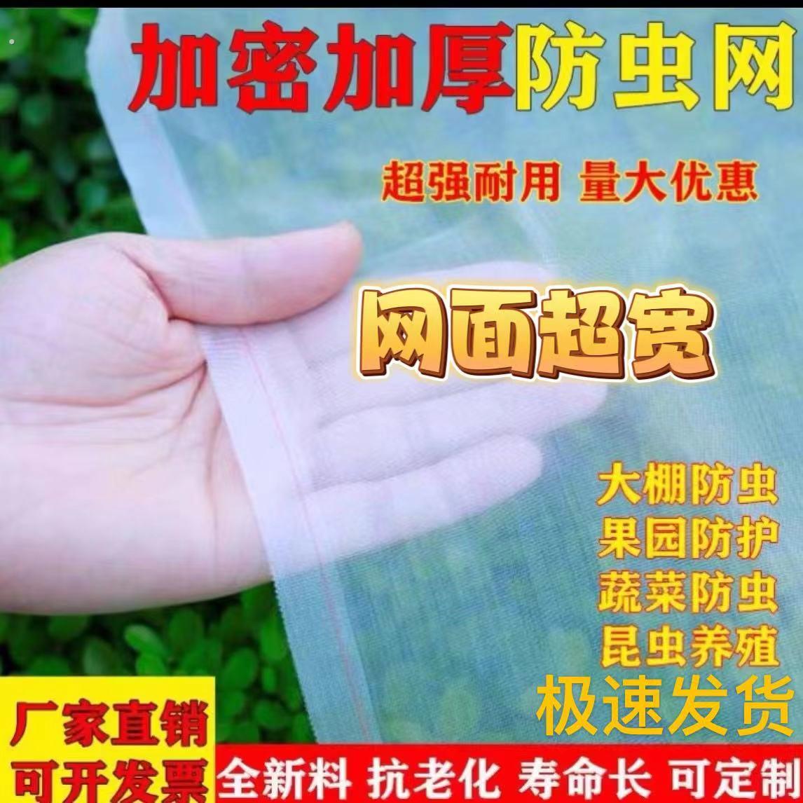 防虫网大棚专用农用蔬菜果园网养猪场防蚊网尼龙网养殖网加密加厚