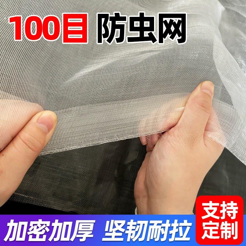 防虫网种菜专用抗老化100目防虫网大棚纱网果树防蚊网罩防蚊虫网
