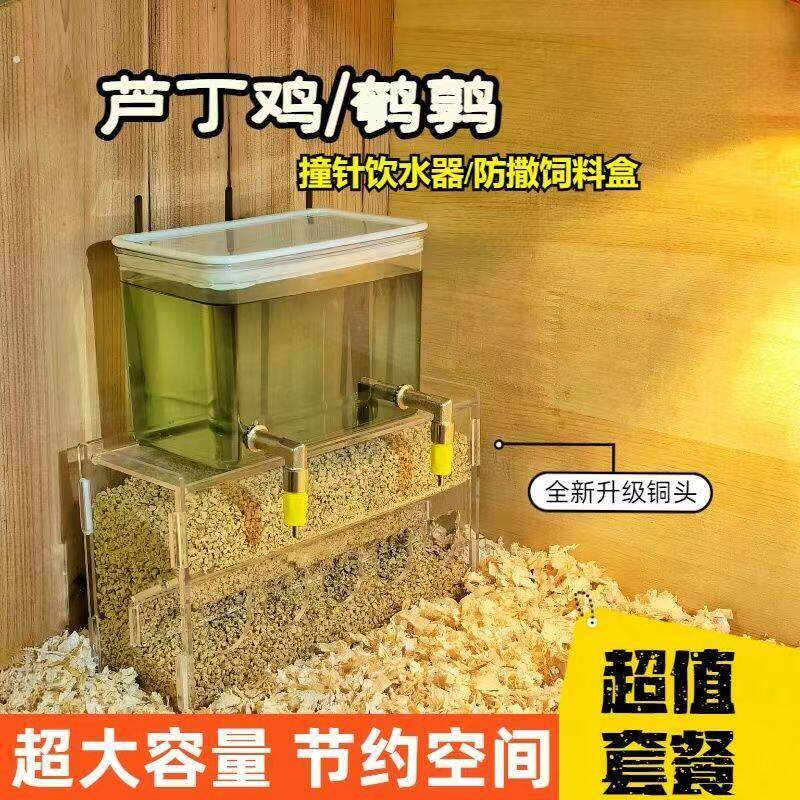 芦丁鸡鹌鹑多头撞针饮水器亚克力饲料盒大容量水壶防刨食盒平台
