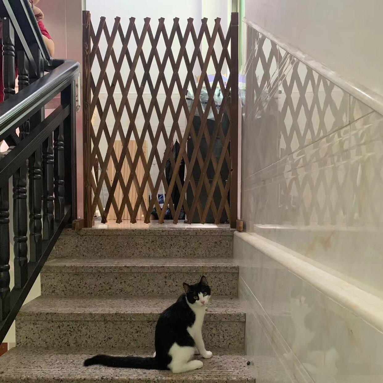 防腐木栅栏隔离门户外室内伸缩隔断拦猫拦狗兔栅栏挡板隔离网门栏