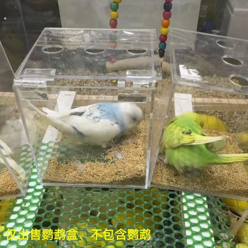 新款亚克力鹦鹉饲养盒防溅防撒鸟食盒大容量鸟屋鸟窝巢窝透明可视