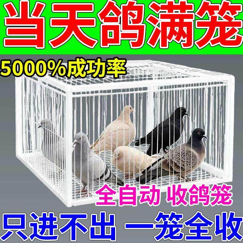 天落笼捕天落神器祇进不出收鸽器户外加密粗防锈自动连续进鸽子笼