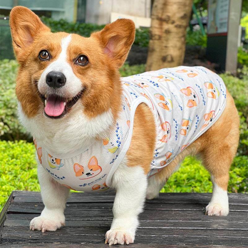 柯基狗夏天薄款透气衣服中小型犬柴犬泰迪雪纳瑞幼犬可爱狗背心
