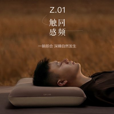 QM LAB深睡枕深度睡枕护颈椎侧睡记忆棉枕头枕芯助睡眠礼盒装 Z01