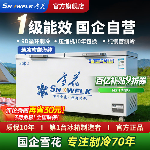 【国企制造】雪花商用冷冻大冰柜