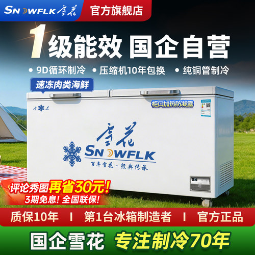【国企制造】雪花商用冷冻大冰柜