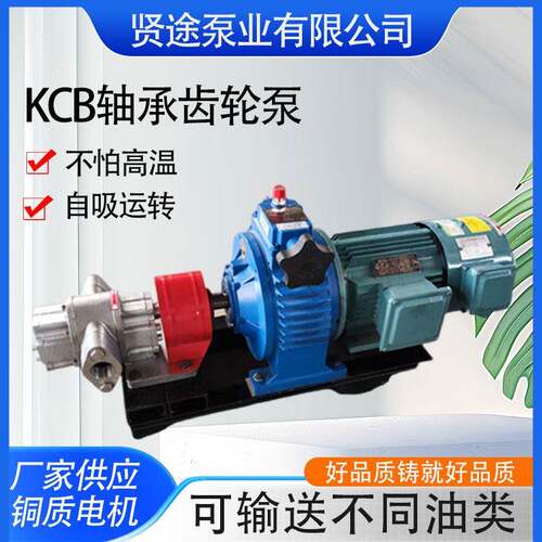 不锈钢轴承齿轮油泵汽油柴油输送泵KCB83.3型耐温润滑油泵