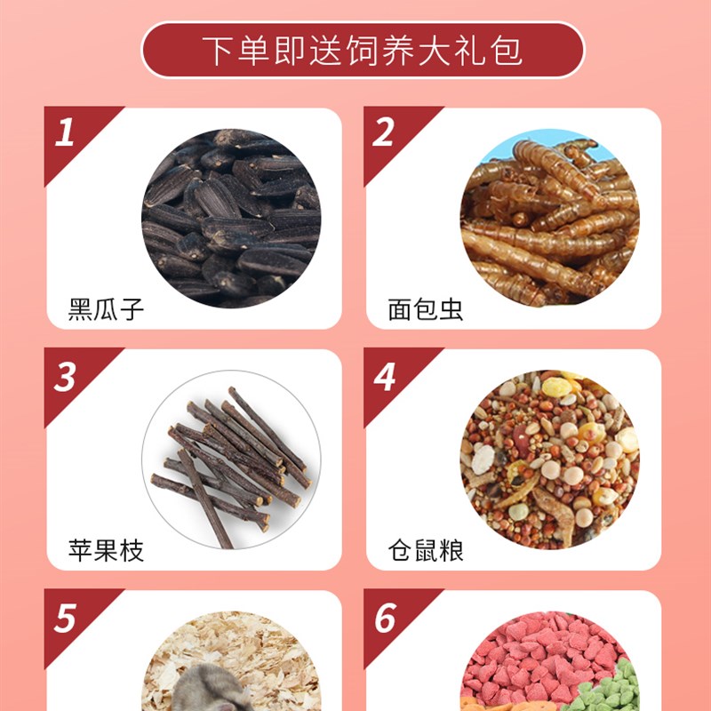 仓鼠笼子豪华别墅金丝熊专用超大便宜布丁小花枝宠物生活用品全套