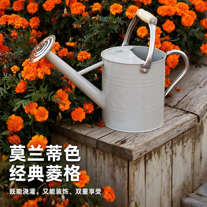 沃施worth洒水壶两用铁皮浇花水壶家用铁艺大容量园艺大号浇水壶